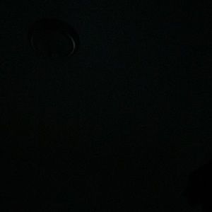 Meet your Posher, Lexy